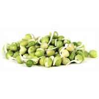 Kitchen Garden Green Peas Sprouting Seeds 300g